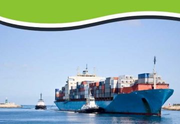 Exports & Imports